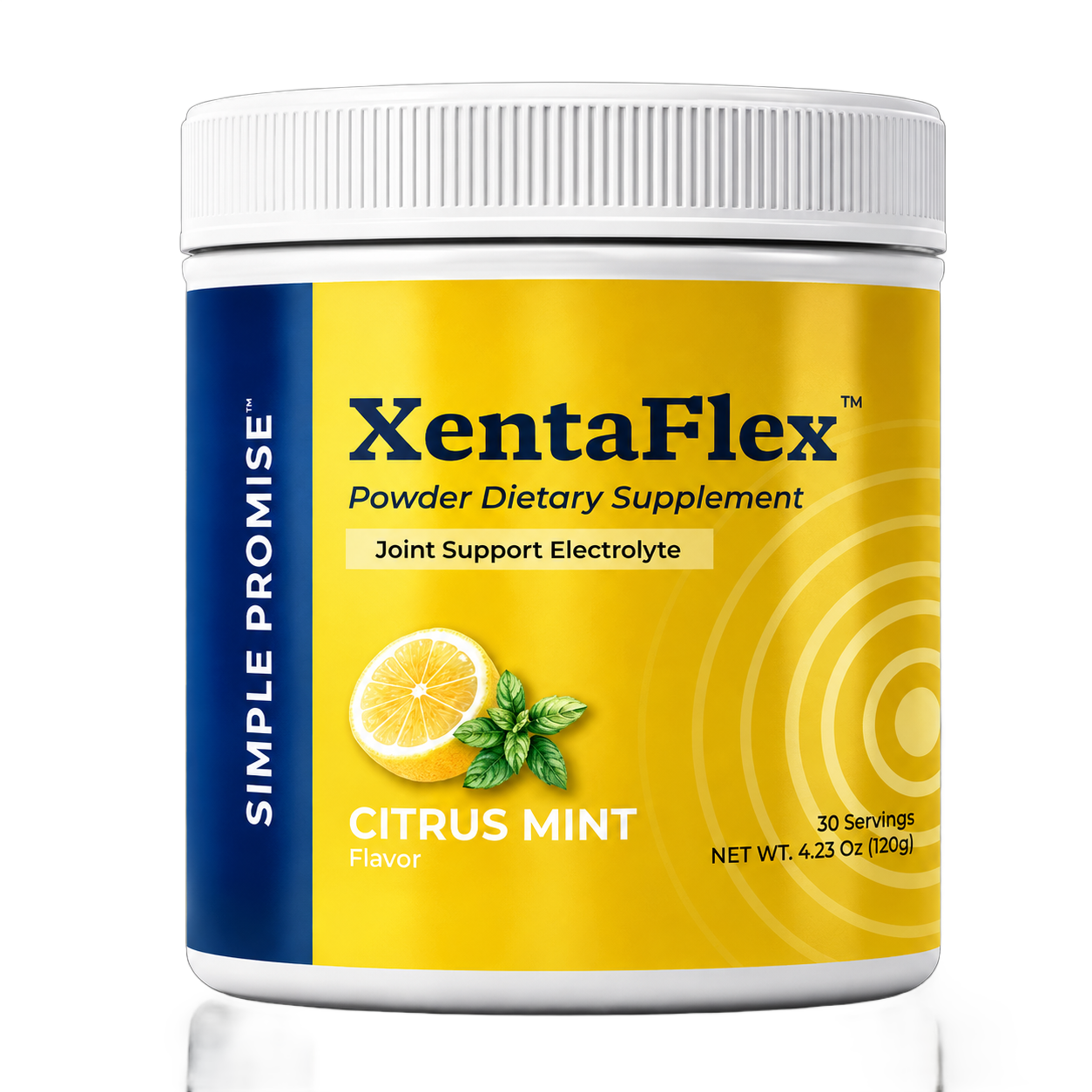 XentaFlex Joint Support Electrolyte